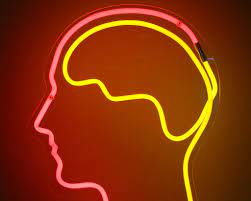 These tests look for signs or symptoms that can show up in some mental illnesses. Testing Effect How Self Testing Helps Memory Improvement Examtime