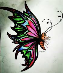 Simple butterfly drawing with line. Butterfly Drawing 2 Steemit