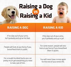 Chart Raising A Dog Vs Raising A Kid Cheap Pet Insurance Funny Animal Memes Pet Health