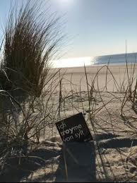 There are 300+ professionals named roy den, who use linkedin to exchange information, ideas, and opportunities. Geschafte Fur Emily Van Den Bergh Auf Sylt Und Umgebung Thelabelfinder