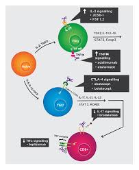 Both diabetes type 1 and diabetes type 2, require good control over their diet by eating foods that help regulate blood sugar, exercise, and in most however, there are dietary recommendations for people with diabetes. Advanced Approaches In Immunotherapy For The Treatment Of Type 1 Diabetes Mellitus European Medical Journal