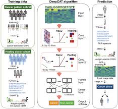 In some cases, a ca 125 test may be used to look for early signs of ovarian cancer in people with a very high risk of the disease. De Novo Prediction Of Cancer Associated T Cell Receptors For Noninvasive Cancer Detection Science Translational Medicine
