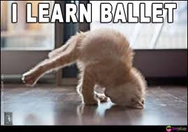 Funny Ballet Dancer Ballerina Cat Sayings D Ballet Ballerina Ballerines Balletdancer Balletlovers Balletfunny Ballets Cat And Dog Memes Indoor Cat Cats