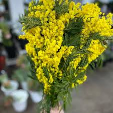 Maybe you would like to learn more about one of these? Berkeley Florist Supply Home Facebook