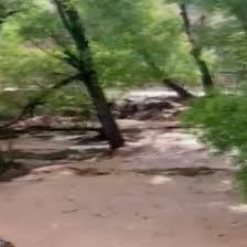 Yeni Şafak - News update