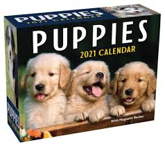2021 Puppies Mini Day To Day Calendar By Andrews Mcmeel Publishing Barnes Noble