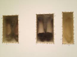 L Arte Macabra Di Doris Salcedo Sfida Il Razzismo E La Violenza