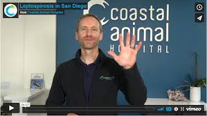 Servicing all of east county including la mesa, grossmont and college area. Coastal Animal Hospital A Modern Vet Clinic In Encinitas Carlsbad Ca