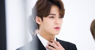 Kim mingyu was talkative, he always do some adlib in going seventeen. Ivgdbiqlo6mf1m