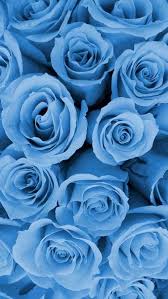 I Pinimg Com Originals 16 4f 35 164f351427c70bb