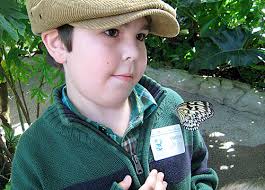 Rare pink grasshopper Valentine's gift to museum