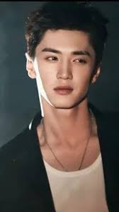 Чень чже юань ақ зәйтүн ағашы: смотрите и скачивайте изображения — Яндекс  Картинки