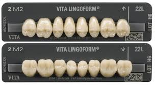 Vitapan Lingoform Posterior Whw