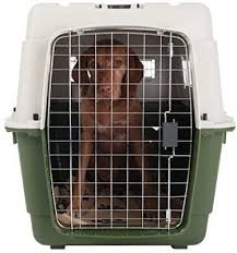 The waterproof flat pad is designed to maximise your pets comfort. 10 Best Dog Crates In The Uk 2021 Help With Housebreaking And A Safe Place To Sleep