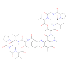 Image result for Dactinomycin
