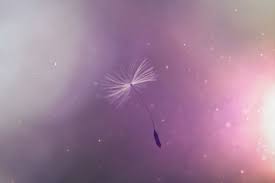 Dec 25, 2017 · for numerologists, the number 11 signifies intuition and insight; 11 11 Wish Why Do We Make 11 11 Wish Individualogist