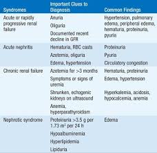 The investigation of the patient with suspected renal disease usually requires assessment of both structure and function of the kidneys. Approach To The Patient With Renal Disease Nephrology Harrisons Manual Of Medicine 18th Ed
