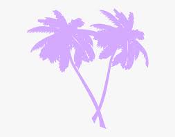 We did not find results for: Transparent Palm Tree Vector Pink Palm Tree Vector Hd Png Download Transparent Png Image Pngitem