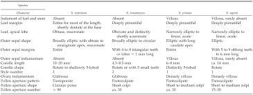 Image result for Xenostegia alatipes