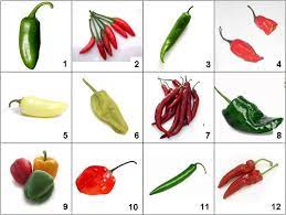 We've got 11 questions—how many will you get right? Pin On Food