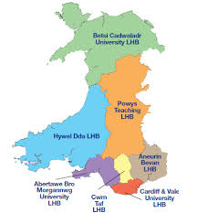 Wales Diabetes Patients Know Best