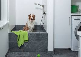 Diy outdoor dog washing station for under $75. 29 Sweet Dog Shower Ideas Pet Washing Stations Luxury Home Remodeling Sebring Design Build