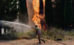 Φωτιά ξέσπασε το μεσημέρι της δευτέρας σε αγροτοδασική έκταση στην περιοχή ζήρια αιγίου, στην αχαΐα. W8outlueelwj3m