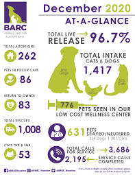 The cat rooms are large cageless playrooms with 19 foot ceilings. Our Numbers At A Glance
