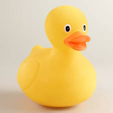 Pin By Danny Jacobs On No Plastic Rubber Duck Rubber Ducky Rubber Duck Bathroom