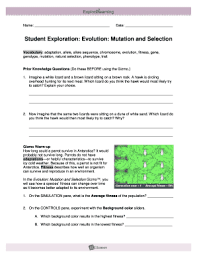 Student exploration natural selection gizmo answer key pdf best 2020 natural selection. Evolution Mutation And Selection Gizmo Answer Key Fill Online Printable Fillable Blank Pdffiller