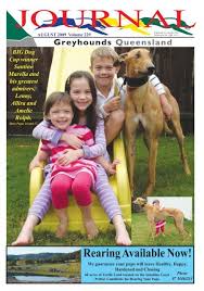 Greyhounds as pets (gap) is a registered charity rehoming greyhounds that are no longer suitable for racing. August 09 Greyhounds Queensland
