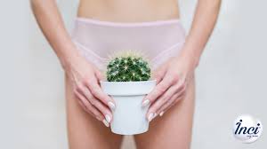 agda ile genital bolge temizligi nasil yapilir inci agda blog