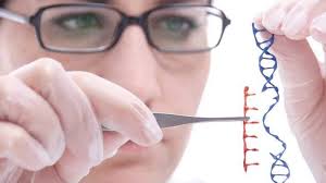 As noted in chapter 1, this report defines genetic engineeringspecifically as one type of genetic modification that involves an intended targeted change in a plant or animal gene sequence to effect a specific result through the use of rdna technology. Brave New World Of Human Genetic Modification Already Happening Genetic Literacy Project