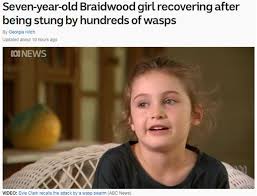 7歲女遭黃蜂群覆蓋全身…狂螫300下父搶救：快認不出| 國際| 三立新聞網SETN.COM