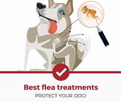 As all the only oral chew to deliver 3 months flea and 4 months tick protection for dogs in a single dose. Top 5 Best Flea Treatments For Dogs 2021 Review Pest Strategies