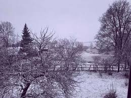 Українські Карпати завалило снігом • Версия для печати • Портал ...