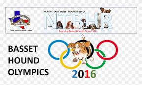 The silver medal contains 550 grams of the metal, according to the olympics website. Olympics Gold Medal Clipart Hd Png Download 800x466 5454059 Pngfind