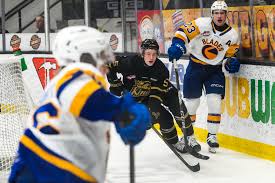 Saskatoon Blades Hockey Club