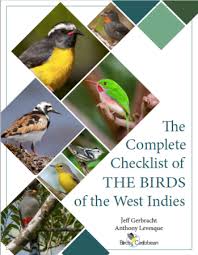 Caribbean Birds Birdscaribbean Caribbean Birds Bird Species