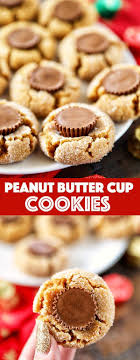 Peanut Butter Cup Cookies Recipe Peanut Butter Cup Cookies Soft Peanut Butter Cookies Peanut Butter Cookies