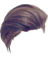 Hairpng Photo 94 Hair Png Hair Png Download Hair Hair