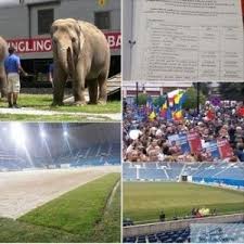 Pin By Jurnaldecraiova On Jurnaldecraiova Soccer Field Elephant Field