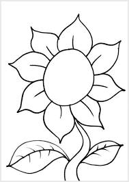 Gambar bunga matahari hitam putih sketsa bunga tulip hitam auto cara melukis bunga tulip. Gambar Sketsa Bunga Untuk Kolase