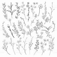 Black And White Plants Drawing Black Hand Drawn Herbs Plants And Flowers Branches Florals Vector Flower Drawing Small Flower Drawings Plant Drawing