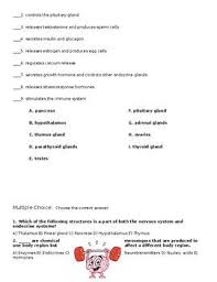 Endocrine System Worksheet Endocrine System Endocrine Nursing School Tips