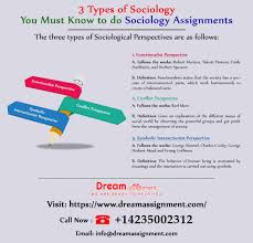 3 Types Of Sociology Sociology Social Science Assignments