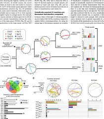 All cancers begin when one or more genes in a cell mutate. L1 Source Element Activity Waxes And Wanes During Tumor Evolution A Download Scientific Diagram