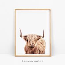Highland Cow Print Modern Boho Bedroom Wall Decor Farmhouse Etsy
