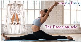 Check spelling or type a new query. The Psoas Muscle Easyflexibility