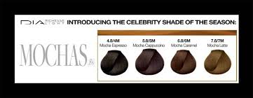 Loreal Majirel Mocha Hair Color Chart Google Search My Blog